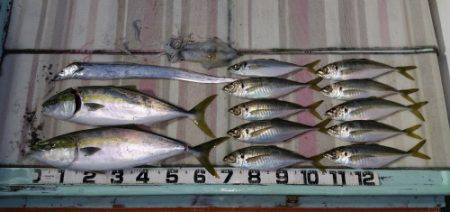 火遠理丸（ほおりまる） 釣果