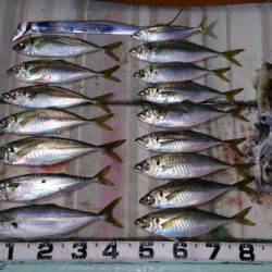 火遠理丸（ほおりまる） 釣果