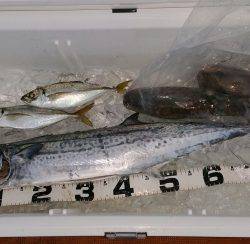 火遠理丸（ほおりまる） 釣果