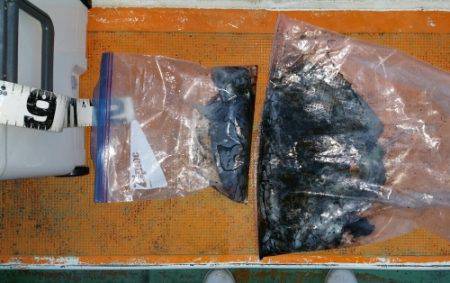 火遠理丸（ほおりまる） 釣果