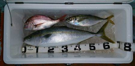 火遠理丸（ほおりまる） 釣果