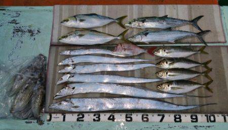 火遠理丸（ほおりまる） 釣果