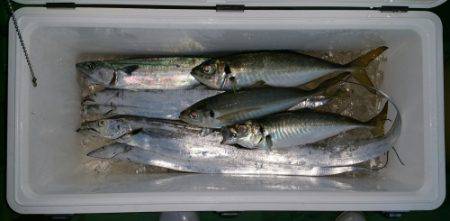 火遠理丸(ほおりまる) 釣果