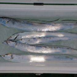 火遠理丸(ほおりまる) 釣果