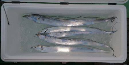 火遠理丸(ほおりまる) 釣果