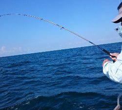 IDATEN（イダテン） 釣果