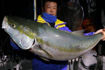 スカイマリン 釣果