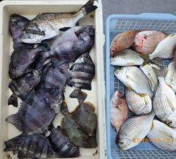 石川丸 釣果
