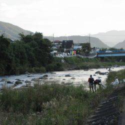 狩野川（狩野川漁業協同組合） 釣果