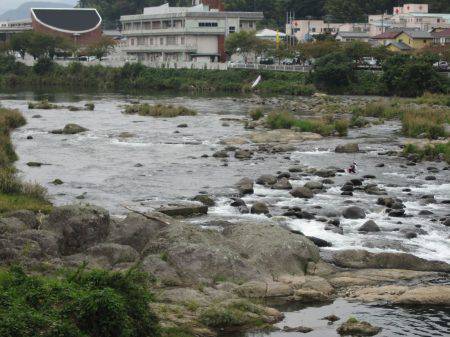 狩野川(狩野川漁業協同組合) 釣果