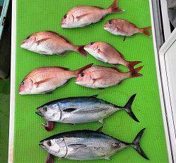 利八丸 釣果