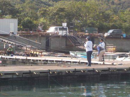 淡路じゃのひれフィッシングパーク 釣果