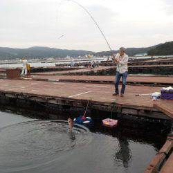 淡路じゃのひれフィッシングパーク 釣果
