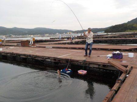 淡路じゃのひれフィッシングパーク 釣果