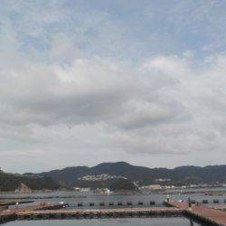 淡路じゃのひれフィッシングパーク 釣果