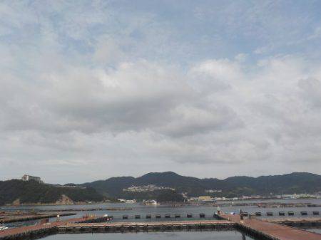 淡路じゃのひれフィッシングパーク 釣果