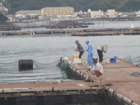 淡路じゃのひれフィッシングパーク 釣果