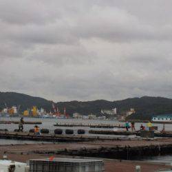 淡路じゃのひれフィッシングパーク 釣果