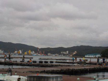 淡路じゃのひれフィッシングパーク 釣果