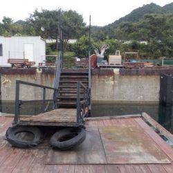 淡路じゃのひれフィッシングパーク 釣果