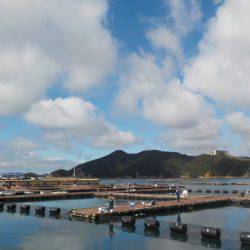 淡路じゃのひれフィッシングパーク 釣果