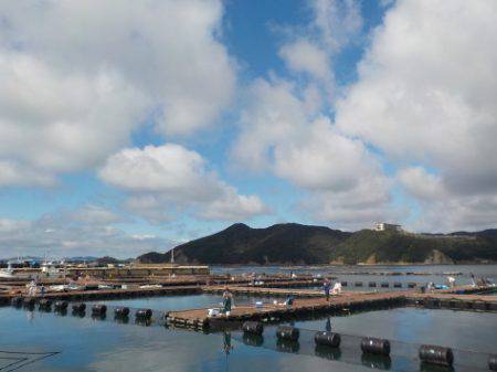 淡路じゃのひれフィッシングパーク 釣果