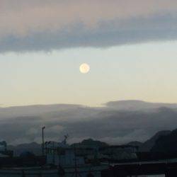 淡路じゃのひれフィッシングパーク 釣果