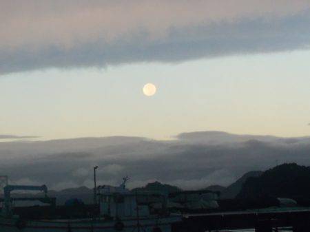 淡路じゃのひれフィッシングパーク 釣果