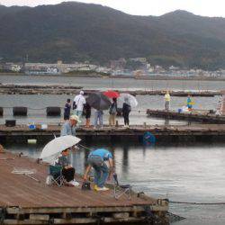 淡路じゃのひれフィッシングパーク 釣果