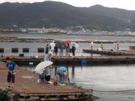 淡路じゃのひれフィッシングパーク 釣果