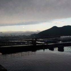 淡路じゃのひれフィッシングパーク 釣果