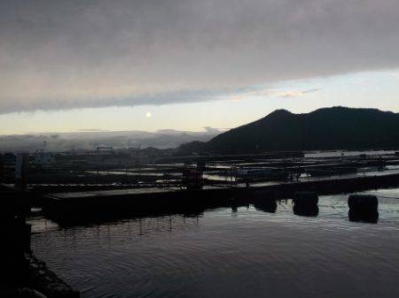 淡路じゃのひれフィッシングパーク 釣果