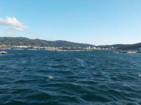 淡路じゃのひれフィッシングパーク 釣果