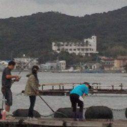 淡路じゃのひれフィッシングパーク 釣果