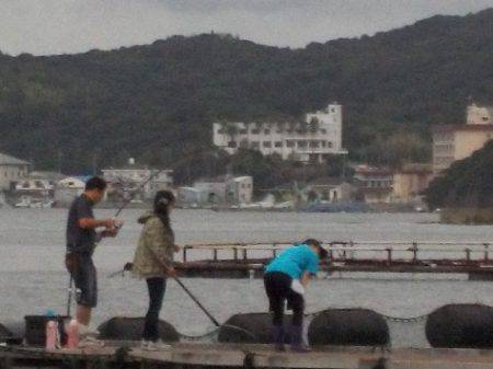 淡路じゃのひれフィッシングパーク 釣果