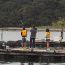 淡路じゃのひれフィッシングパーク 釣果