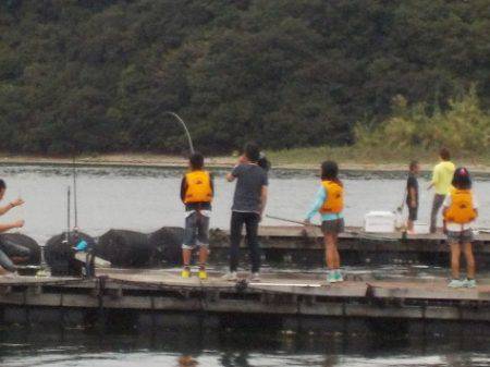 淡路じゃのひれフィッシングパーク 釣果