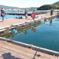 淡路じゃのひれフィッシングパーク 釣果