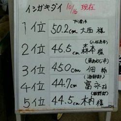 淡路じゃのひれフィッシングパーク 釣果