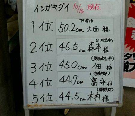 淡路じゃのひれフィッシングパーク 釣果