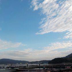 淡路じゃのひれフィッシングパーク 釣果