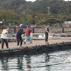 淡路じゃのひれフィッシングパーク 釣果