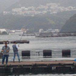 淡路じゃのひれフィッシングパーク 釣果