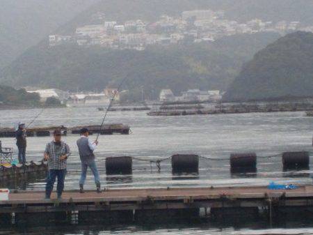 淡路じゃのひれフィッシングパーク 釣果