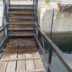 淡路じゃのひれフィッシングパーク 釣果