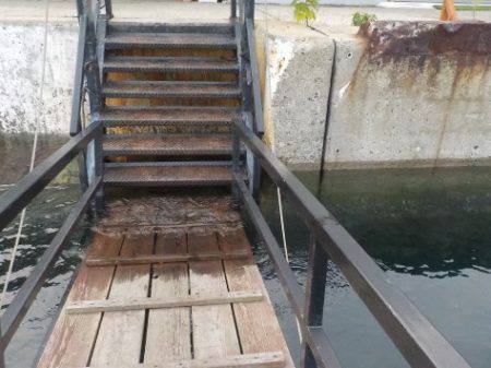 淡路じゃのひれフィッシングパーク 釣果