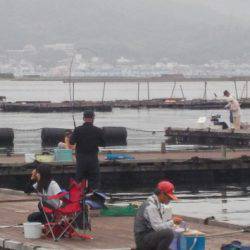 淡路じゃのひれフィッシングパーク 釣果