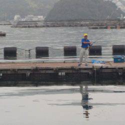 淡路じゃのひれフィッシングパーク 釣果
