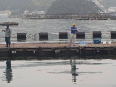 淡路じゃのひれフィッシングパーク 釣果