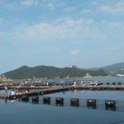 淡路じゃのひれフィッシングパーク 釣果